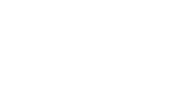 Flynery Logo